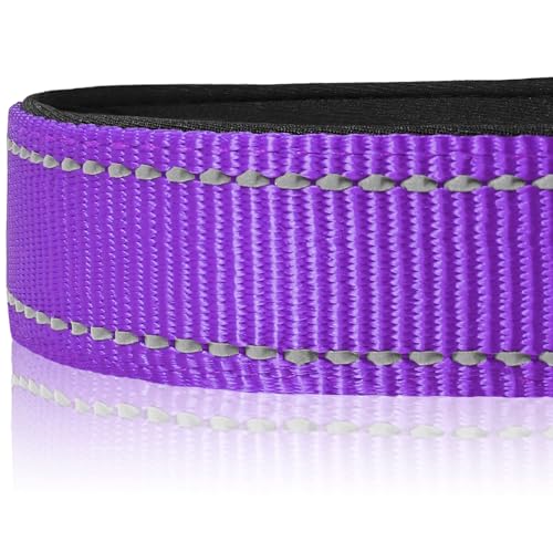 Joytale Reflective Dog Collar, Soft Neoprene Padded, Metal D-Ring, Nylon Pet Collar Adjustable for Puppy and Small Dogs, Purple, XS - Image 4