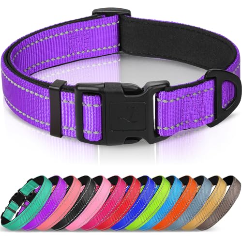 Joytale Reflective Dog Collar, Soft Neoprene Padded, Metal D-Ring, Nylon Pet Collar Adjustable for Puppy and Small Dogs, Purple, XS - Image 1