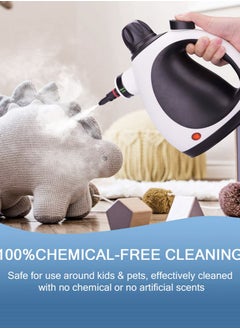 Handheld Steam Cleaner, Pressurized Multi-Surface Steam Cleaner with 9 Accessories, Safety Lock, Steamer for Cleaning Floor, Upholstery, Grout, Windows, Couch and Car - pzsku/Z1A107AC876131536F856Z/45/1741079784/e41de677-e19e-4218-9d18-be8cac25c119