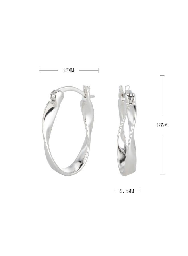 925 Sterling Silver Mobius Wave Earring Cold Wind Twisted Earrings Net Red Earrings Earrings 