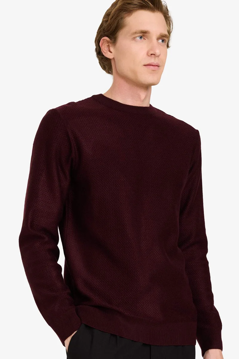 DeFacto Standard Fit Crew Neck Knitwear Pullover