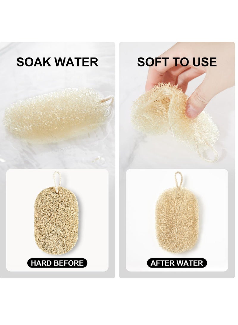 XiuWoo Loofah Dish Sponges, Natural & Reusable Dishwashing Power Cleaning and Easy Storage, Without Irritating Elements, Multi-Purpose Loofah, for Kitchen, Kitchen Scrubber Loofahs (6 Pack) - Image 3