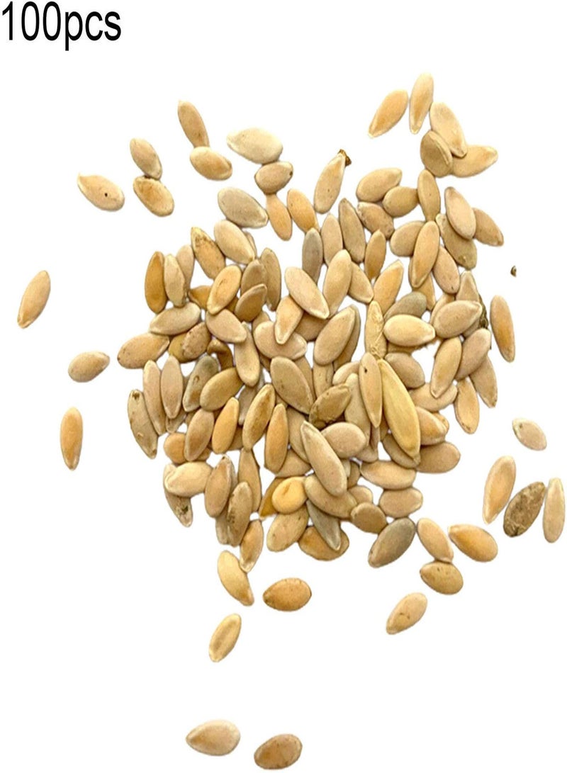 GGOOT 100Pcs/Bag Hami Melon Seeds Tasty DIY Delicious Cantaloupe Melons Sweet Fruit Seeds for Garden - Image 5