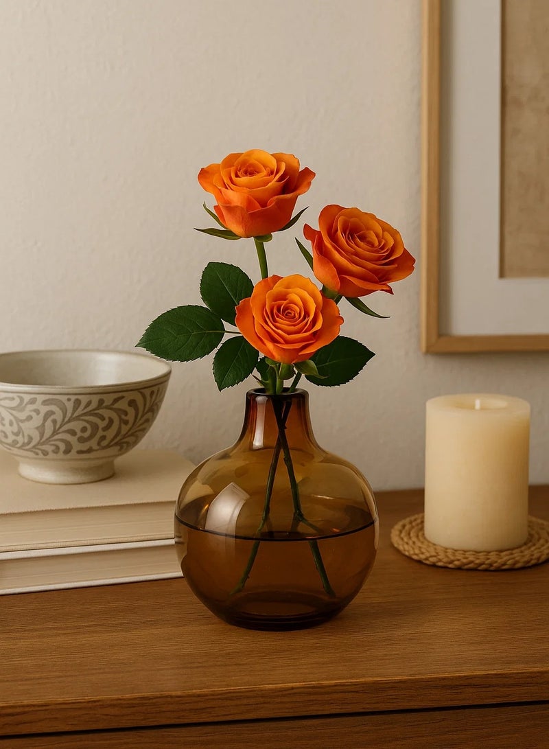 لوفت مزهرية مفردة، عمق 12 × ارتفاع 11 سم، لون كهرماني، زجاج - 189165A - Image 2