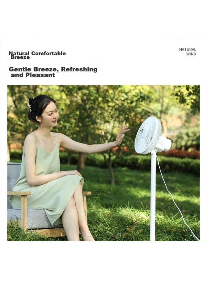Shinee Electric Fan/floor Fan, Desk Fan/stand Fan, Home And Office Use, Adjustable Height With Oscillation, Non-remote Control, 12 Blades Electric Fan Fs-n9 - Image 5
