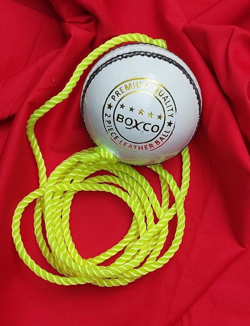 BOXCO Practice Hanging Cricket Ball Leather | Standard Size White Practice Knocking Ball for Batting (7 ft Cord Included) - Image 4
