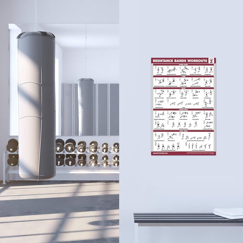 Palace Learning QUICKFIT 2 Pack Resistance Bands Exercise Poster Set - Resistance Tubes Workout Charts - Image 5