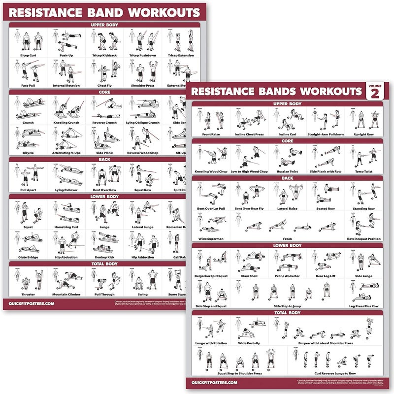 Palace Learning QUICKFIT 2 Pack Resistance Bands Exercise Poster Set - Resistance Tubes Workout Charts - Image 1