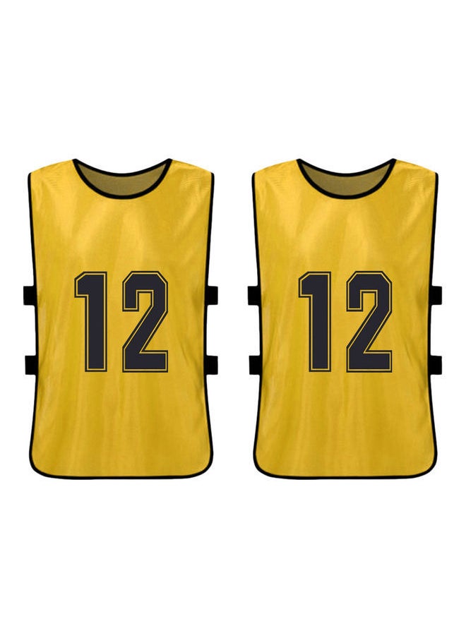 Y&D - Sports Pinnies Numbered Practice Vest Pennies For Soccer Basketball Jersey Bibs,Set Of 12 Youth Adults Team - Image 1