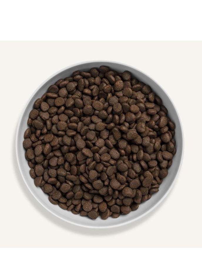 Canagan Scottish Salmon for Cats Dry Food 4KG - Image 2