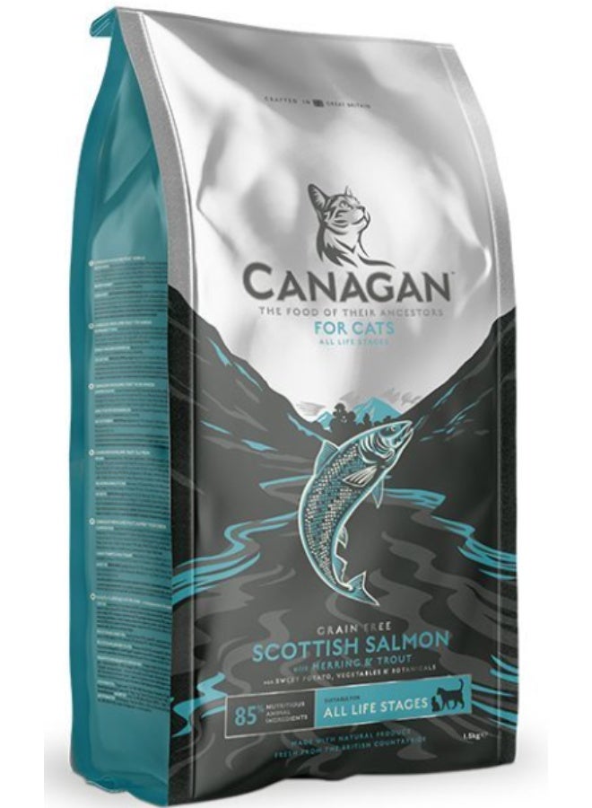 Canagan Scottish Salmon for Cats Dry Food 4KG - Image 1
