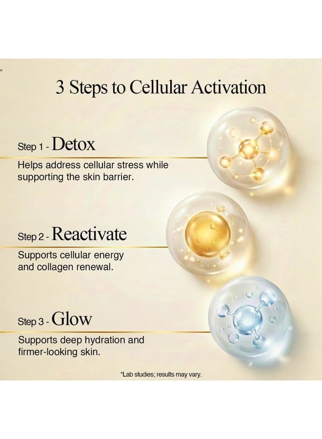 BI-SU Gelatin Extract Stick | Natural Swift Nest Extract, Collagen, Vitamin C, Japanese Skin Care, Anti-aging, Maintains Skin Elasticity, Stimulates System - Image 4