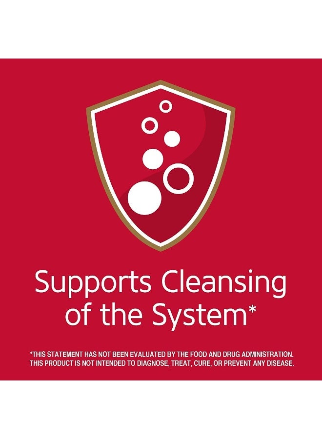 21st Century شاي التخسيس العشبي من القرن 21 - نعناع 24 كيس - Image 3