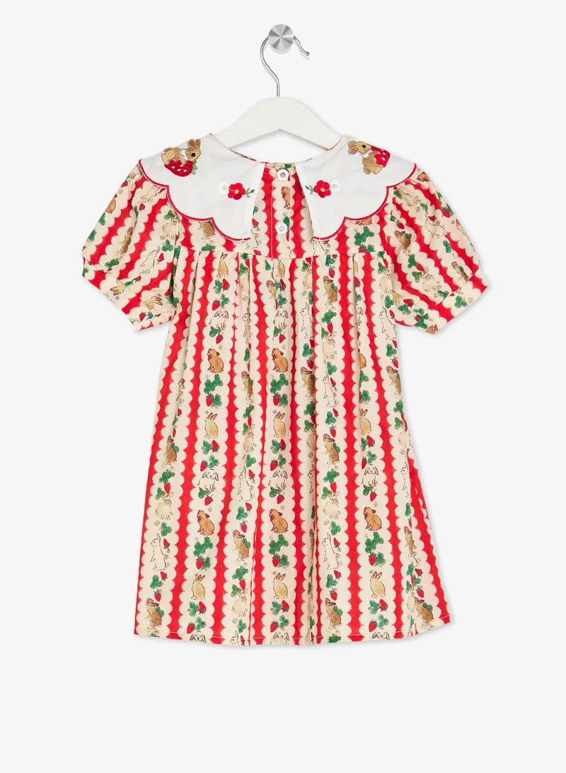 بنياتا فستان بياقة