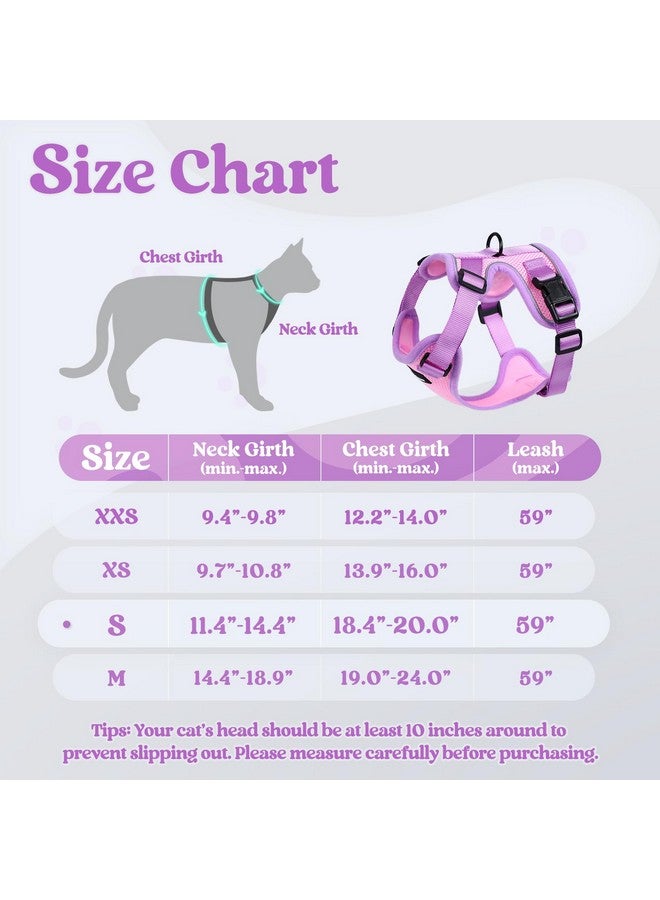 رابيتجو طقم حزام ومقود للقطط من rabbitgoo، حزام صدرية ناعم قابل للتعديل مقاوم للهروب للمشي في الهواء الطلق، سترة قطط صغيرة سهلة التحكم وجيدة التهوية مع شرائط عاكسة، وردي وأرجواني، مقاس صغير - Image 2