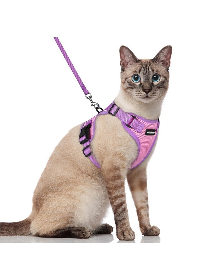 رابيتجو طقم حزام ومقود للقطط من rabbitgoo، حزام صدرية ناعم قابل للتعديل مقاوم للهروب للمشي في الهواء الطلق، سترة قطط صغيرة سهلة التحكم وجيدة التهوية مع شرائط عاكسة، وردي وأرجواني، مقاس صغير - Image 1