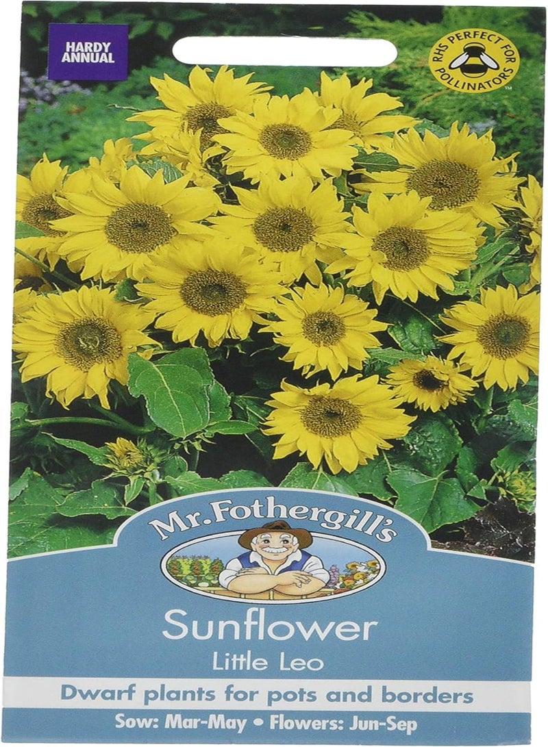 GGOOT 13518 Flower Seeds, Sunflower Little Leo, Yellow - Image 1