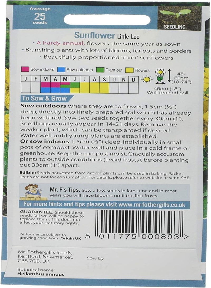 GGOOT 13518 Flower Seeds, Sunflower Little Leo, Yellow - Image 2