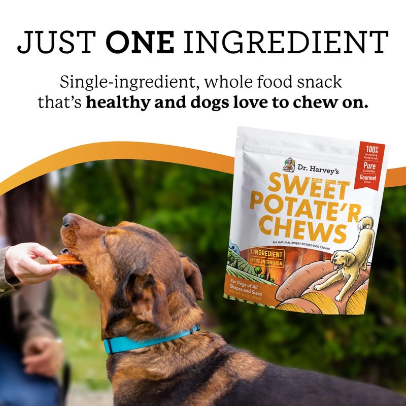 Dr. Harvey's Sweet Potate'r Chews - Natural Sweet Potato Treat for Dogs (16 ounces) - Image 3