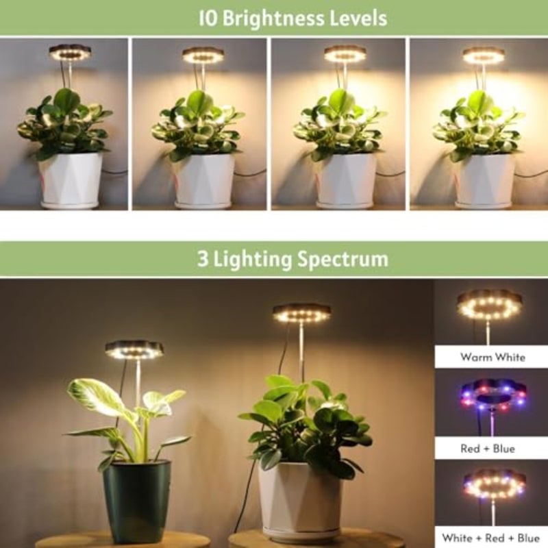 Plant Grow Light for Indoor Plants Full Spectrum LED with Detachable Stand Auto Timer, 10 Brightness Levels, 3 Lighting Modes Desk Grow Lamp for Small Plants Home Office Use - Image 4