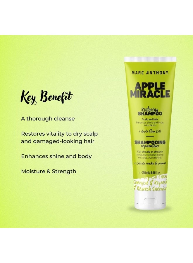 MARC ANTHONY شامبو آبل ميراكل لاستعادة الحيوية - Image 3