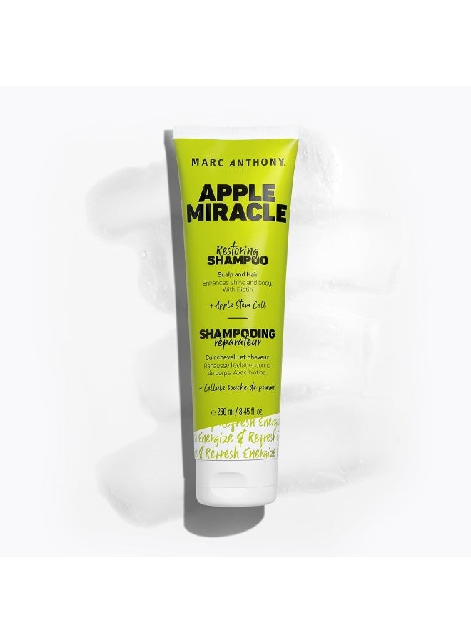 MARC ANTHONY شامبو آبل ميراكل لاستعادة الحيوية - Image 4