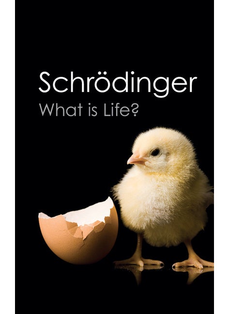 What is Life? - pzsku/Z1A1B3B494C2ABC5192E1Z/45/_/1734526045/4539513f-dba3-4622-9f17-0ffe05076ee7