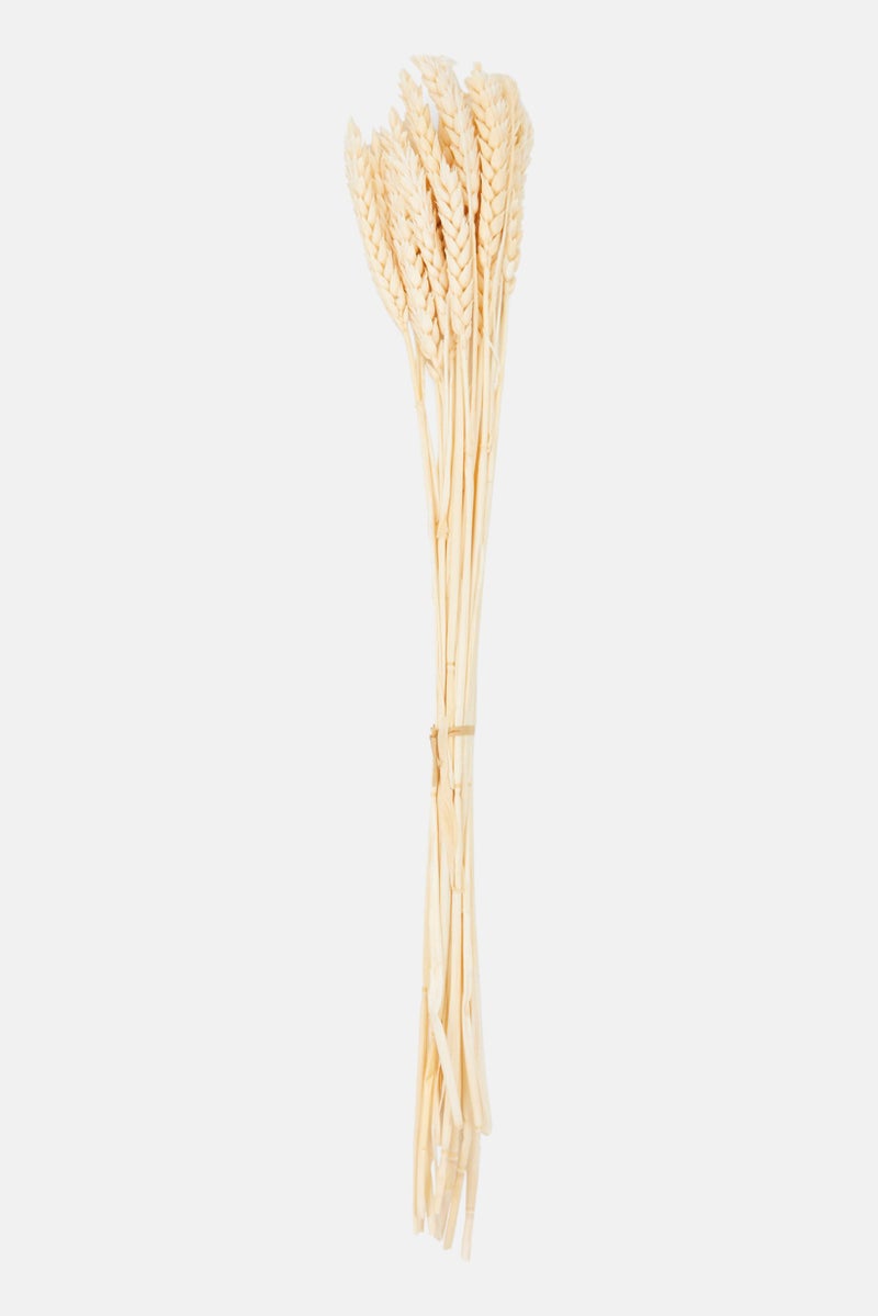 Muy Mucho Assorted Dried Flower 50cm, Pink Combo  - Image 1