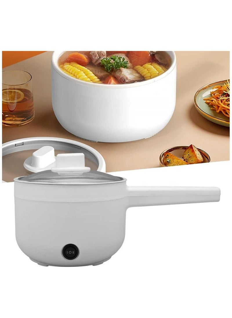 Small Portable Electric Egg Fryer, Capacity 2 Liters, Power 700 Watts