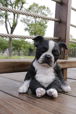 HiLine Gift Ltd Boston Terrier Sitting Sleepy Statue - pzsku/Z1A1E31B7D6DF31E58A88Z/45/1750416876/84757cb2-3432-4f2a-b61f-fad7b7f7e870