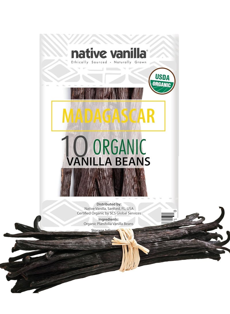 Madagascar Beans - Gourmet Grade A Premium 10 Pods