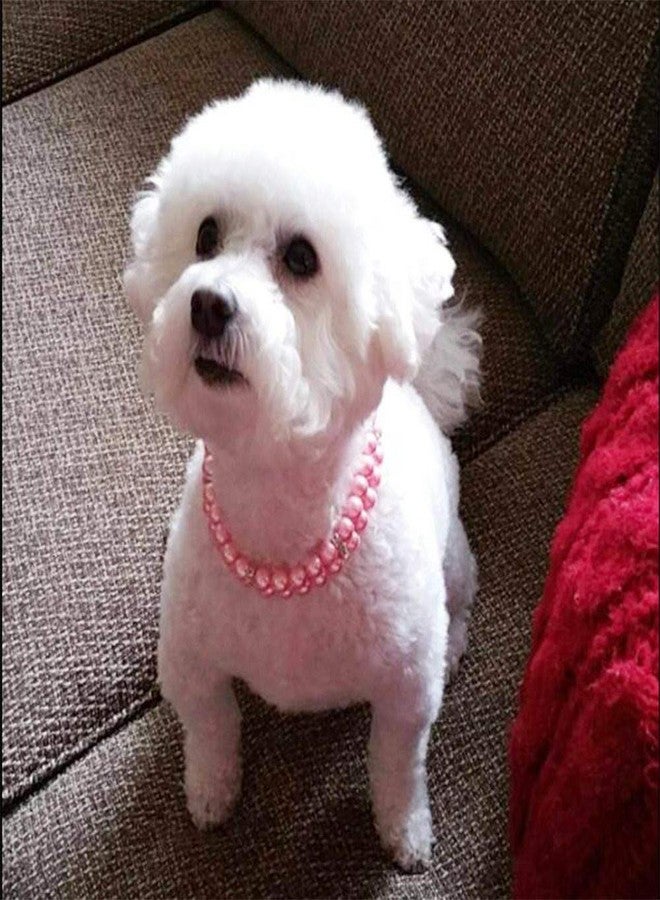 Nature's Miracle Advanced Platinum Stain & Odor Remover & Virus Disinfectant 64 Oz - Image 5