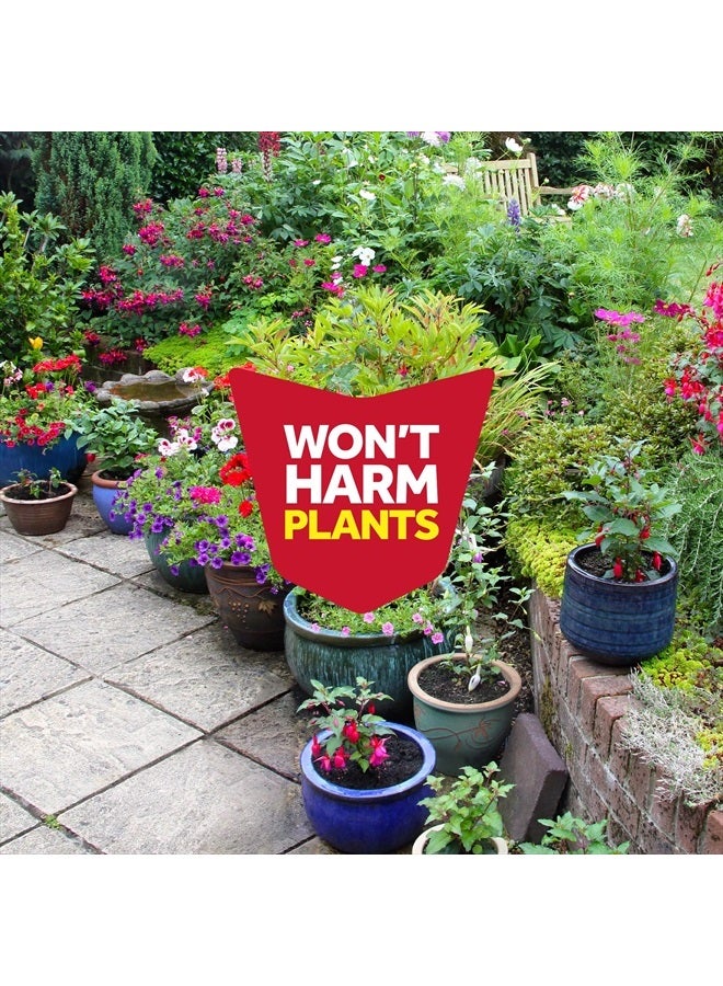 RAID رذاذ قاتل الحشرات للمنزل والحديقة، برائحة البرتقال 11 أونصة (عبوة من 1) - Image 5