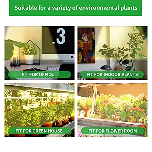 RWNTAO LED Grow Light Strips, 13 Inches Grow Lights for Indoor Plants Full Spectrum 3500K, 96 LEDs Plant Light with 3/9/12H Timer, 10 Dimmable Levels for Seedling Succulent, 2 Head - Image 5