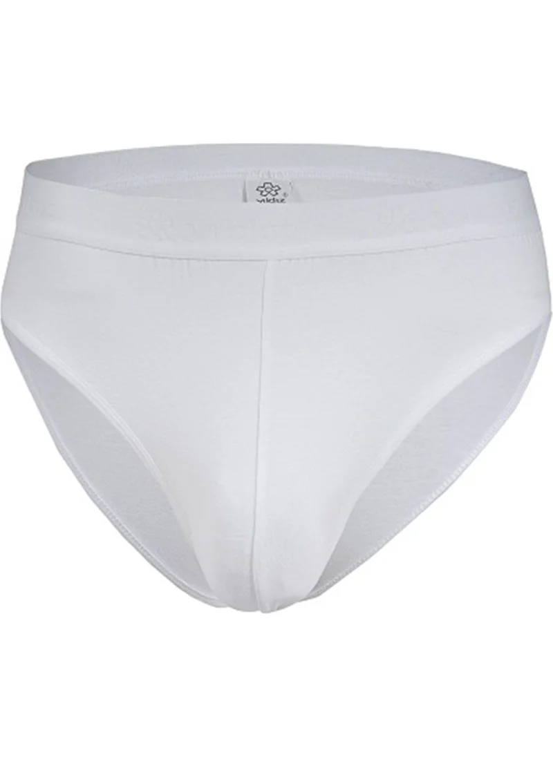 Yıldız Star Belt Modal Men's Briefs Colorful
