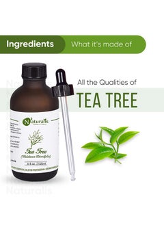 نيتشوراليس زيت شجرة الشاي العطري من Essence Of Nature لعلاج حب الشباب والبثور والندبات والبشرة والوجه والعناية بالشعر ومضاد للقشرة - 120 مل  - Image 3
