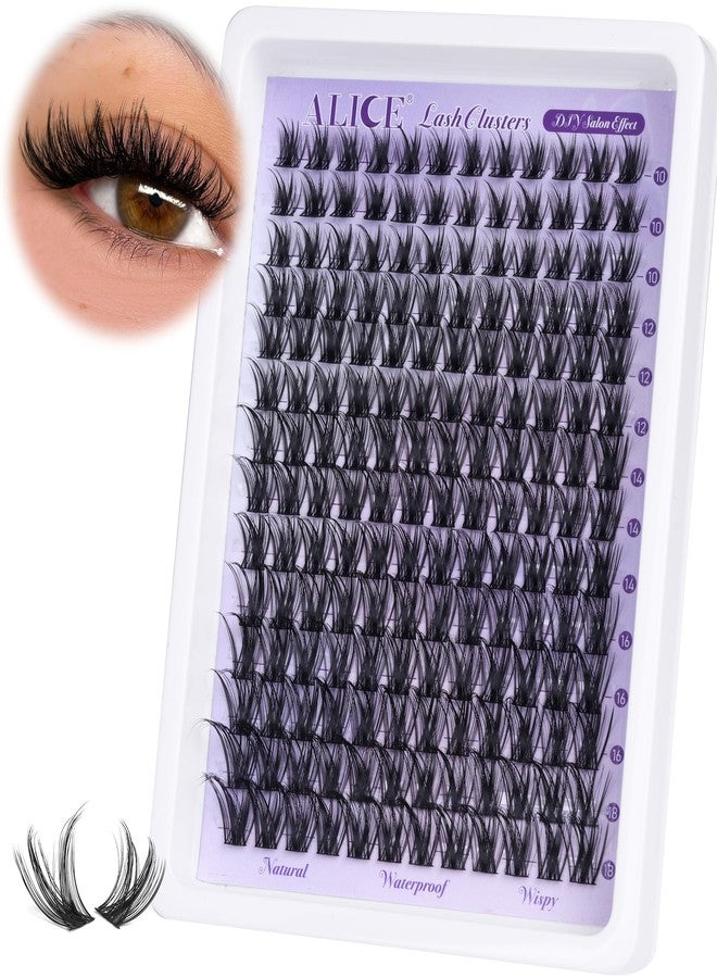 Alice Lash Clusters Wispy Eyelash Extensions 168pcs Volume Individual Lashes 10-18mm Waterproof Natural DIY Lash Extensions Cluster Eyelash Extensions by ALICE - Image 1