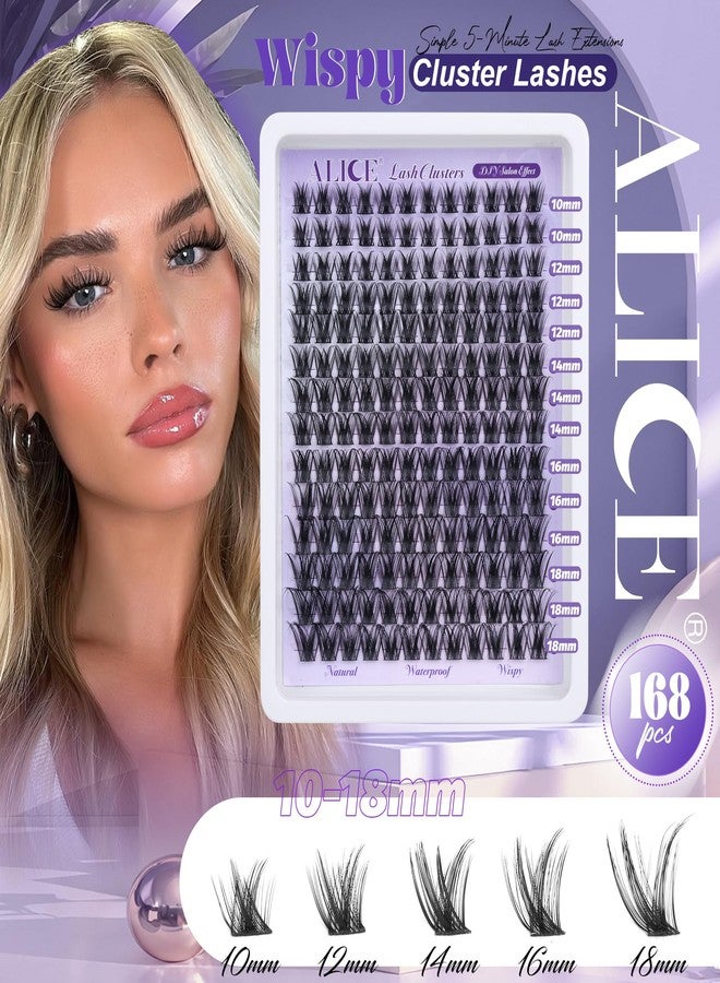 Alice Lash Clusters Wispy Eyelash Extensions 168pcs Volume Individual Lashes 10-18mm Waterproof Natural DIY Lash Extensions Cluster Eyelash Extensions by ALICE - Image 2