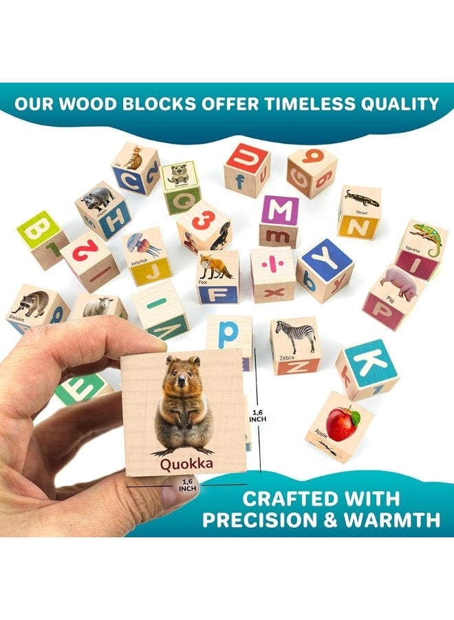 QUOKKA Montessori Wooden Blocks for Toddlers 13 35 Realistic ABC Learning Baby Blocks for Kids 35 Year Olds Stacking Alphabet Wood Toys for 24 yo Learn Letters Numbers - Image 5