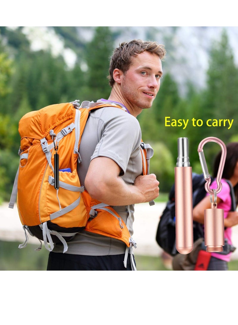 SYOSI Reusable Telescopic Metal Straws, 3 Pack Stainless Steel Collapsible Drinking Straw, Portable Pocket Drinking Straws for Travel, with Cleaning Brush & Carabiner (Rose, Black, Silver) - Image 2