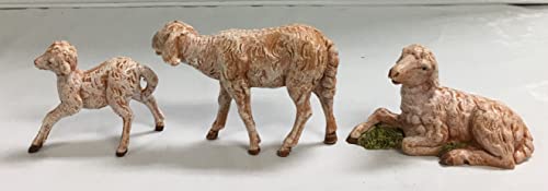 Fontanini by Roman Inc., 3 Piece Set of Sheep Family, 5" Animals Collection, Nativity Figure and Accessories, Hand Sculpted and Painted - Image 3