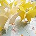 zilue Butterfly Banner Decorative Paper Garland for Wedding Baby Shower Birthday Theme Decor 110 Inches Long Pack of 2 Pieces Yellow - Image 3