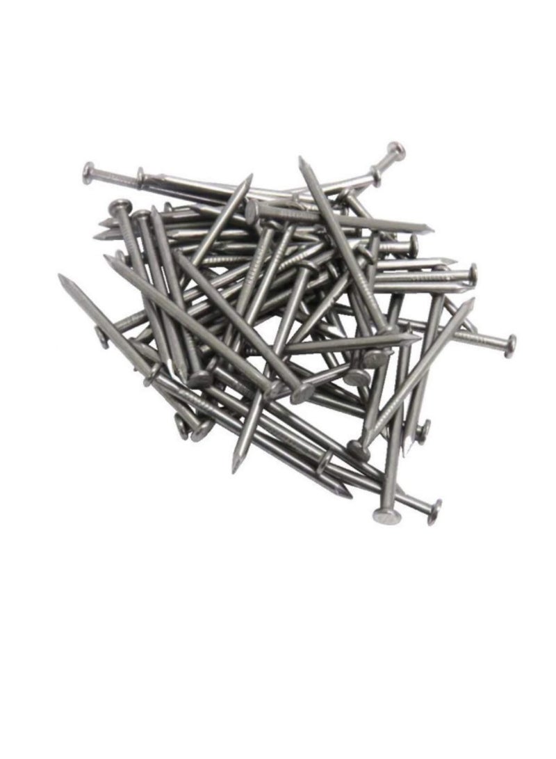 High Strength Round Head Nails For Carpentry Hardware Electrical Etc (100, 6 inch)  - Image 2