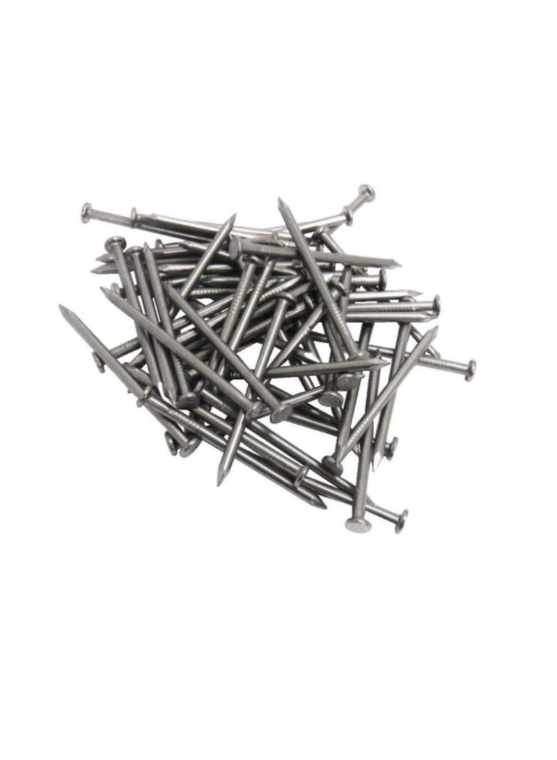 High Strength Round Head Nails For Carpentry Hardware Electrical Etc (100, 6 inch)  - Image 1