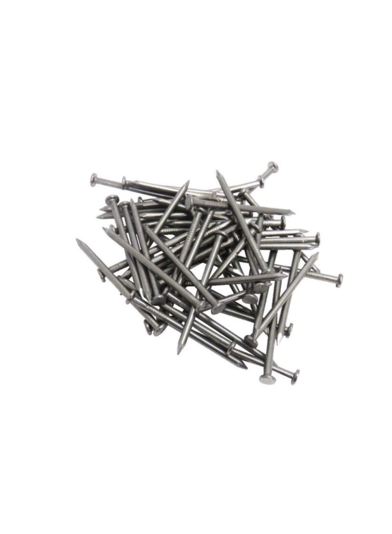 High Strength Round Head Nails For Carpentry Hardware Electrical Etc (100, 6 inch)  - Image 3