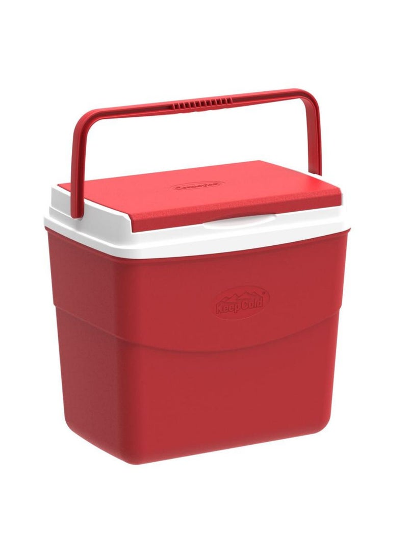 Picnic Icebox 20 L 41 X 28 X 37 Cm