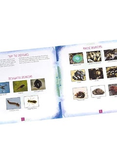 Educational Insights Nancy B'S Science Club Aquascope Explore Underwater Without Getting Wet Includes Magnifier & Led Flashlight Ages 8+  - Image 5