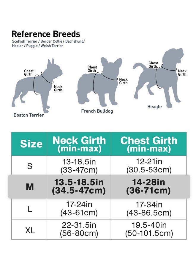 Joytale No Pull Dog Harness Medium Sized Dog, Reflective Pet Vest with Front Clip, Adjustable Soft Padded Harnesses with Easy Control Handle for Training and Walking, Teal, M - Image 3