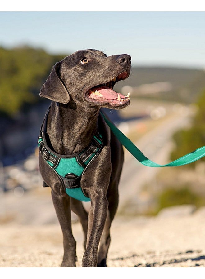 Joytale No Pull Dog Harness Medium Sized Dog, Reflective Pet Vest with Front Clip, Adjustable Soft Padded Harnesses with Easy Control Handle for Training and Walking, Teal, M - Image 5