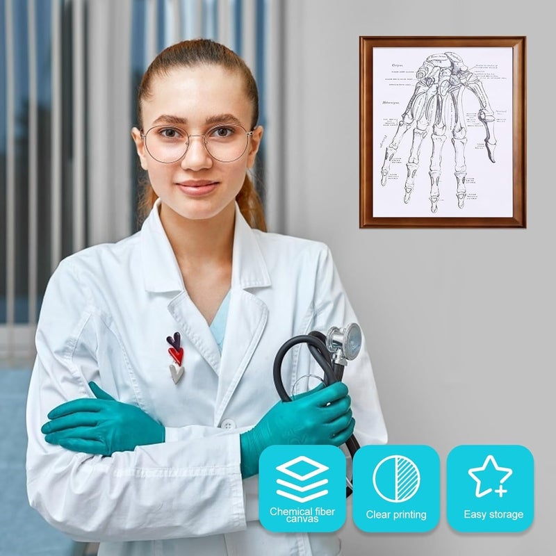 All season compatible build Garneck Human Anatomy Chart Wall Art 40x50cm Medical Organ Poster for Clinic Home Decor Educational Human Hand Anatomical Teaching Poster Indoor outdoor all-purpose fit - Image 4